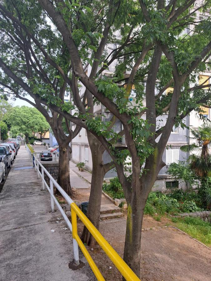 Belvia Apartmán