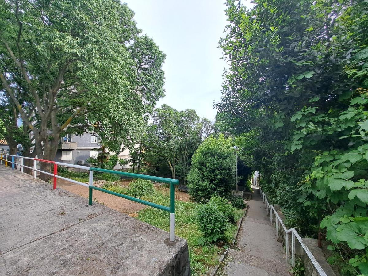 Belvia * Rijeka
